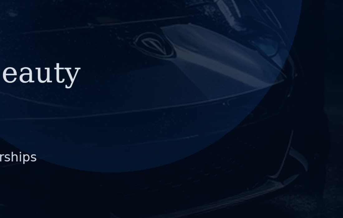 Restauration des plastiques extérieurs